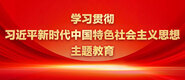 操逼bb视频学习贯彻习近平新时代中国特色社会主义思想主题教育_fororder_ad-371X160(2)